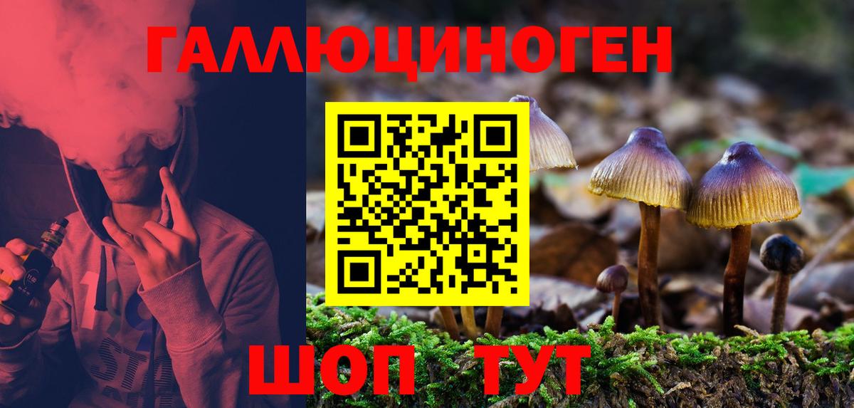 Псилоцибиновые грибы мухоморы  Вход с VPN  купить наркоту  Саров 