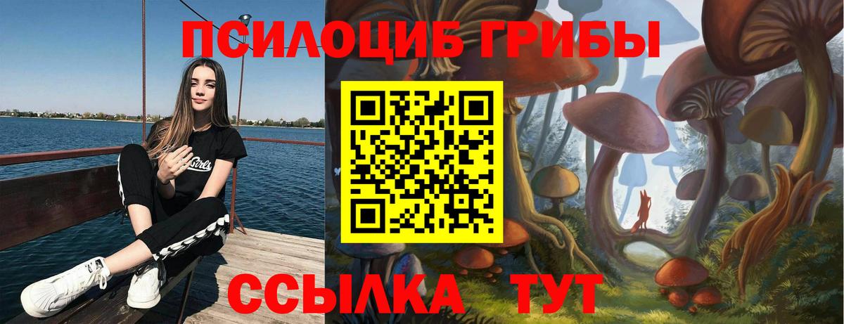 Галлюциногенные грибы Psilocybine cubensis Саров